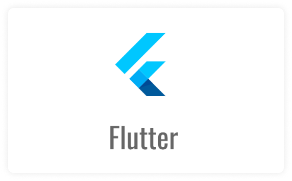 Flutter services